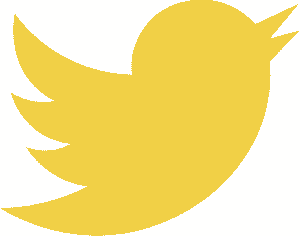 Twitter icon